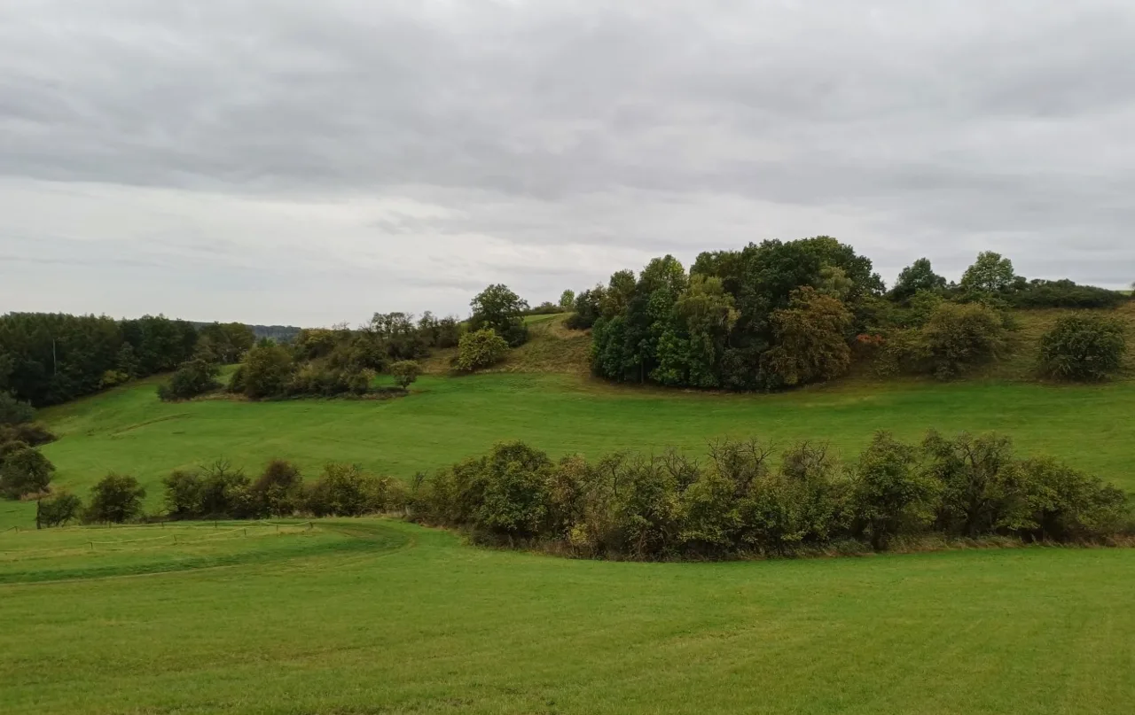 Landscape view of rural area with fields and trees, no building visible
