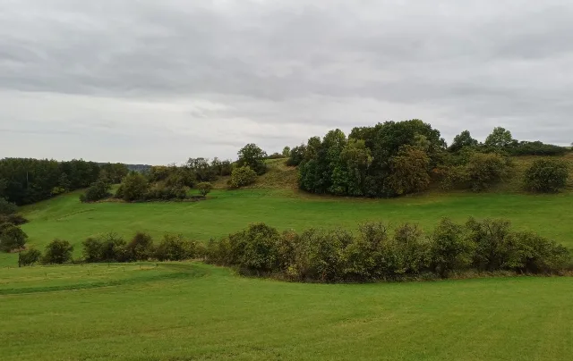 Zwangsversteigerung Land-/Forstwirtschaft in Kraftsdorf: Objektfoto
