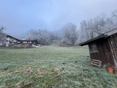 Zwangsversteigerung Land-/Forstwirtschaft in Staudach-Egerndach: Objektfoto