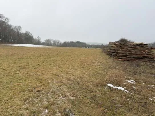 Zwangsversteigerung Land-/Forstwirtschaft in Schernfeld: Objektfoto