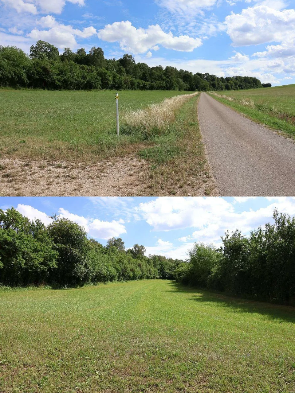 Zwei Außenaufnahmen des Grundstücks und seiner Umgebung, Feldflur mit Grünland