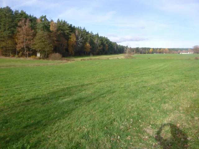 Zwangsversteigerung Land-/Forstwirtschaft in Gemarkung Reichenbach Beim Fuchsenschübel Flst. 669: Objektfoto