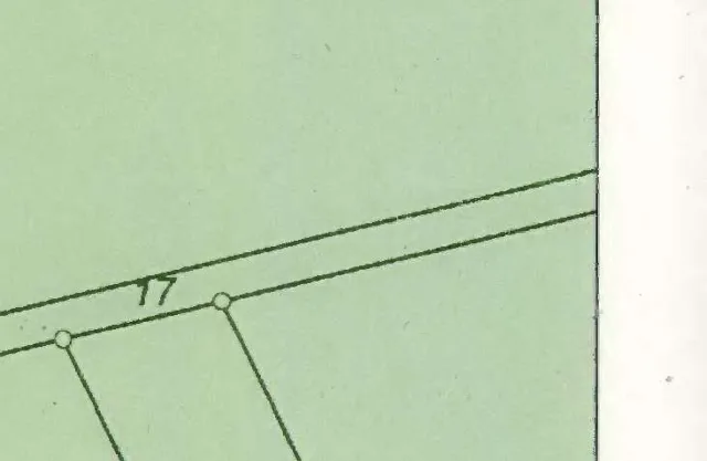 Zwangsversteigerung Land-/Forstwirtschaft in Großlittgen: Objektfoto