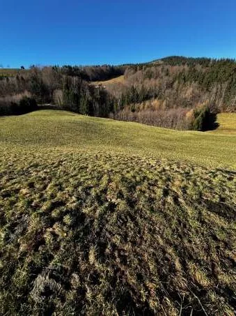 Zwangsversteigerung Sonstiges in Anger: Objektfoto