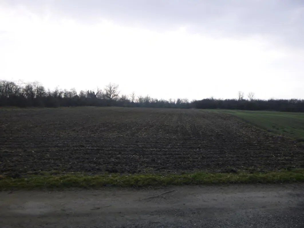 Offene Ackerfläche mit Waldsaum im Hintergrund, aufgenommen von einem Feldweg; kein Gebäude sichtbar.