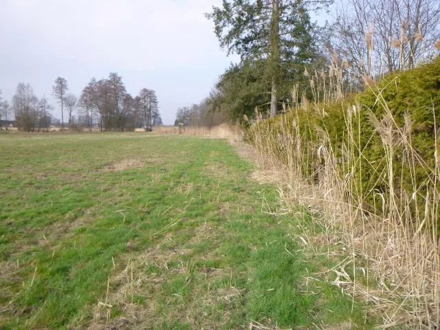 Zwangsversteigerung Land-/Forstwirtschaft in Kirchforf a. Inn: Objektfoto
