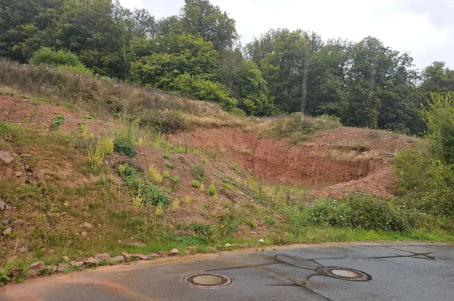 Zwangsversteigerung Unbebautes Grundstück in Rechtenbach: Objektfoto