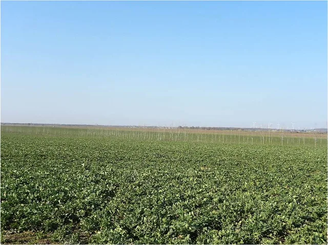 Zwangsversteigerung Land-/Forstwirtschaft in Schwarz: Objektfoto