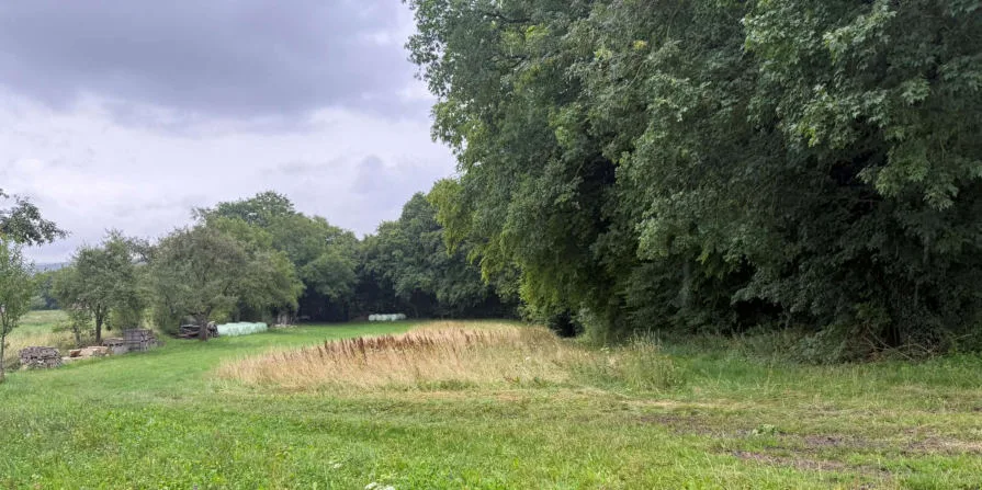 Wiesengrundstück mit Baumreihe und Waldrand, im Hintergrund Lagerstapel und Folienballen, kein Gebäude sichtbar.