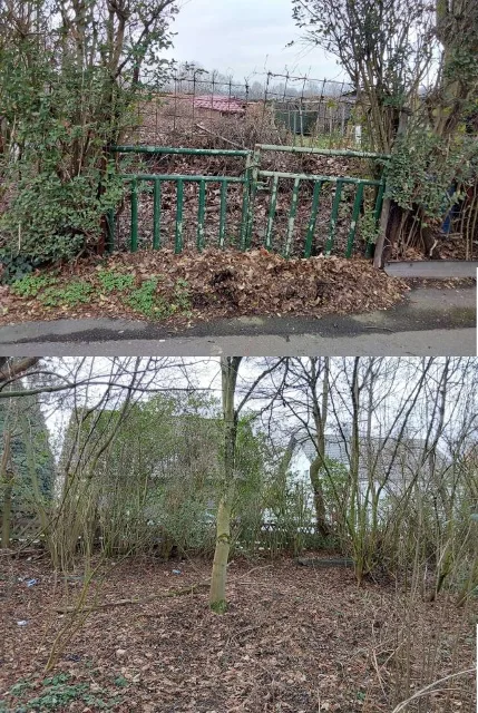 Zwangsversteigerung Unbebautes Grundstück in Muelheim an der Ruhr: Objektfoto