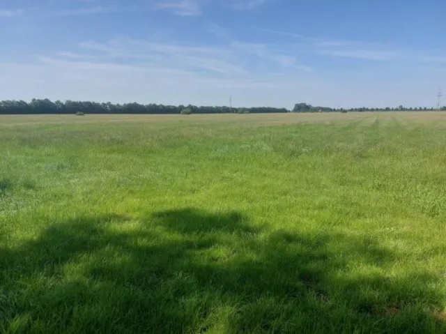 Zwangsversteigerung Land-/Forstwirtschaft in Moormerland – Objektfoto