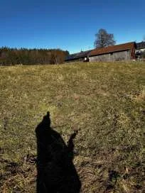 Zwangsversteigerung Land-/Forstwirtschaft in Anger: Objektfoto