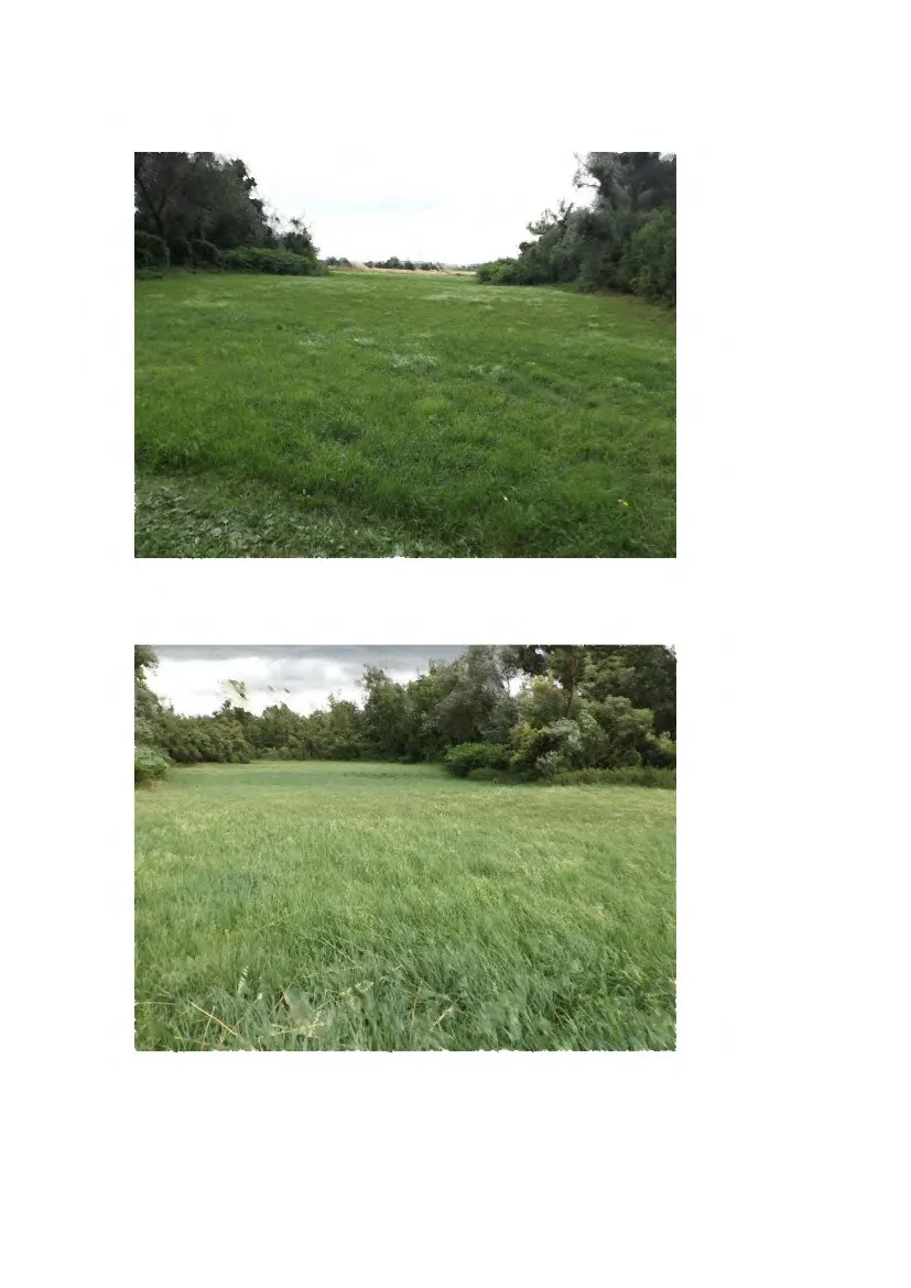 Grundstücksaufnahmen – Wiesenlandschaft mit Waldbestand