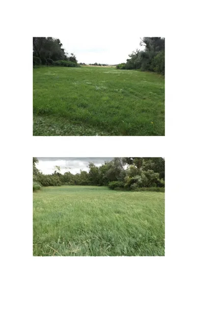 Zwangsversteigerung Land-/Forstwirtschaft in Niederviehbach – Objektfoto