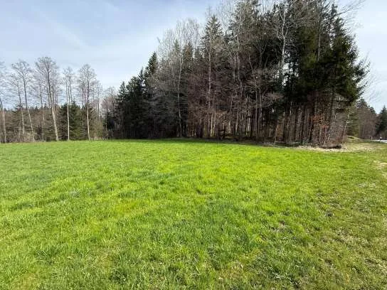 Zwangsversteigerung Land-/Forstwirtschaft in Münsing: Objektfoto