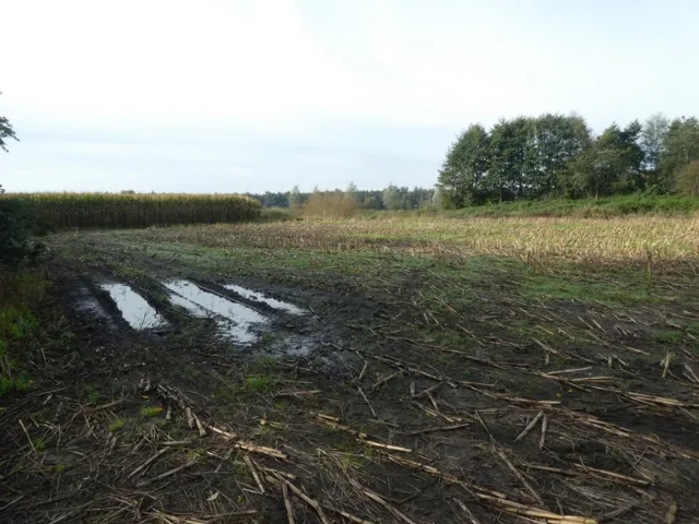 Objektfoto