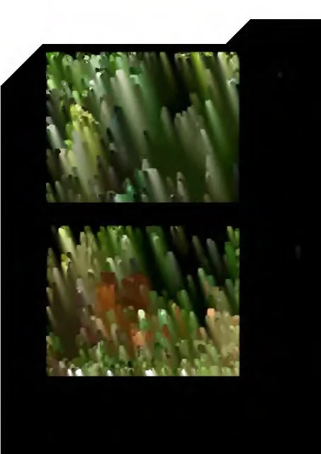 Objektfoto