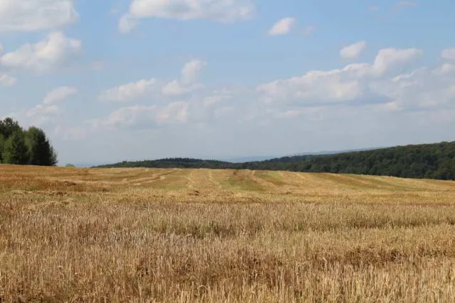 Zwangsversteigerung Land-/Forstwirtschaft in Hillscheid: Objektfoto