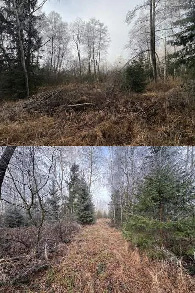Zwangsversteigerung Land-/Forstwirtschaft in Staudach-Egerndach: Objektfoto