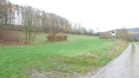 Zwangsversteigerung Land-/Forstwirtschaft in Ludwigsau: Objektfoto