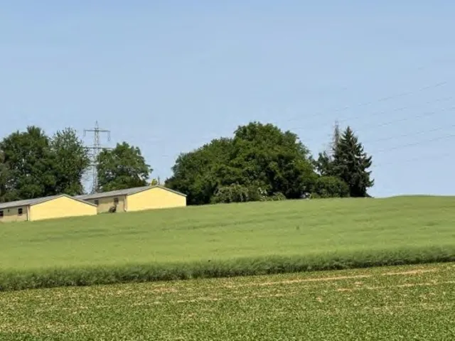 Zwangsversteigerung Land-/Forstwirtschaft in Reinheim: Objektfoto