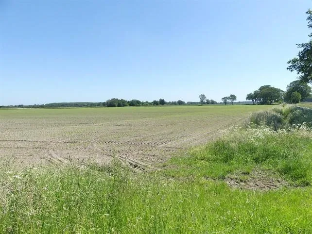 Landschaftsaufnahme mit Acker- und Wiesenfläche, kein Gebäude sichtbar