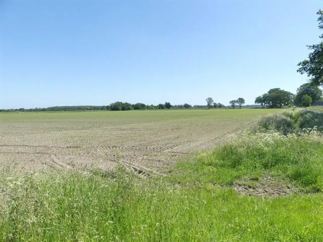 Zwangsversteigerung Mehrere Objekte in Drebber: Objektfoto