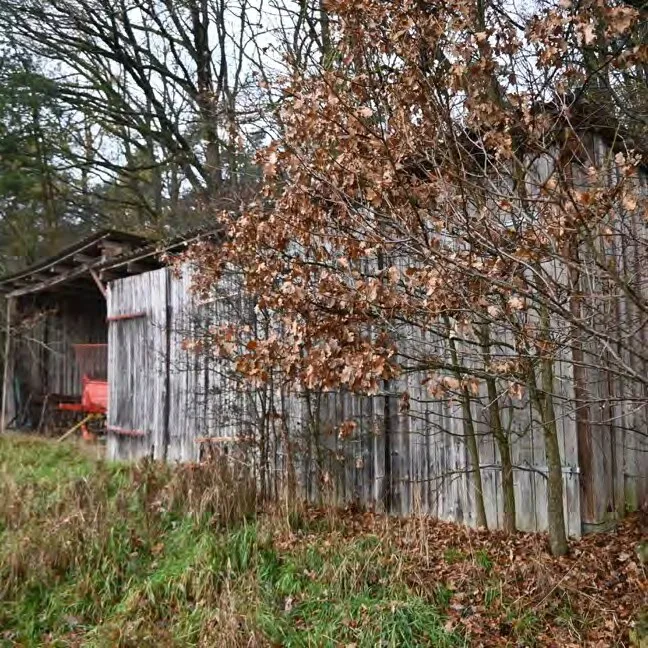 Seitenansicht einer alten Holzscheune mit Vordach, teilweise von Laub verdeckt