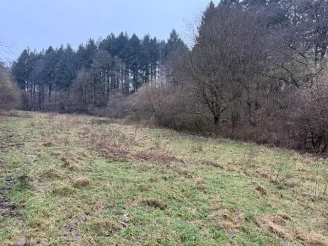Objektfoto