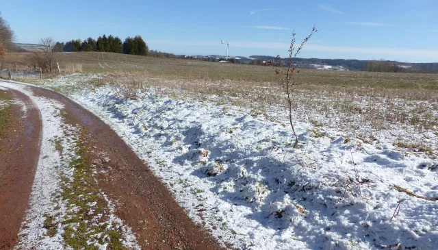 Zwangsversteigerung Unbebautes Grundstück in Lengenfeld: Objektfoto