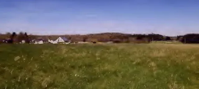 Objektfoto