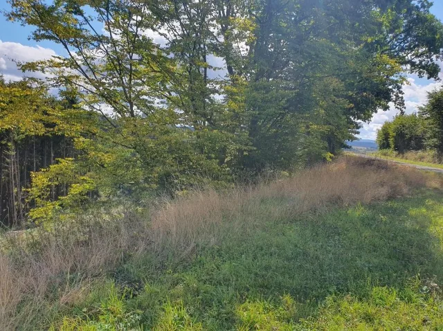 Zwangsversteigerung Land-/Forstwirtschaft in Blankenheim: Objektfoto