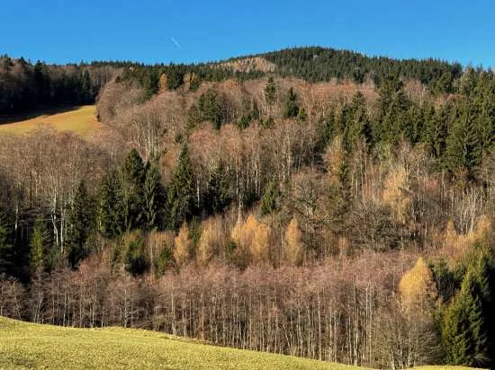 Zwangsversteigerung Sonstiges in Anger: Objektfoto
