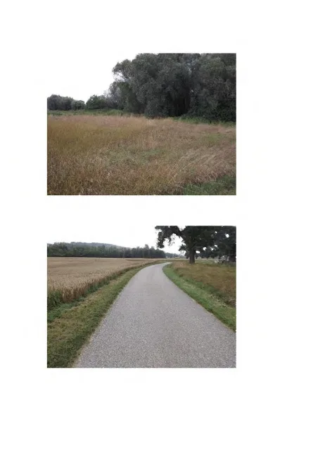Zwangsversteigerung Land-/Forstwirtschaft in Niederviehbach: Objektfoto