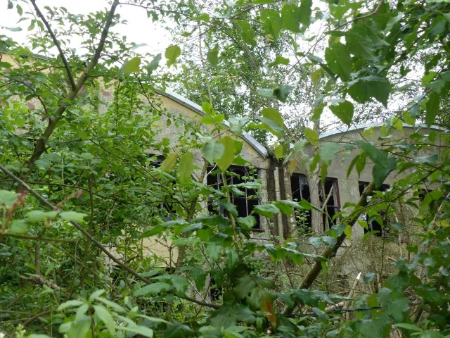 Zwangsversteigerung Gewerbe in Eschershausen: Objektfoto