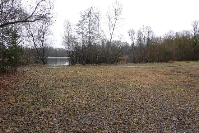 Zwangsversteigerung Land-/Forstwirtschaft in Tapfheim: Objektfoto