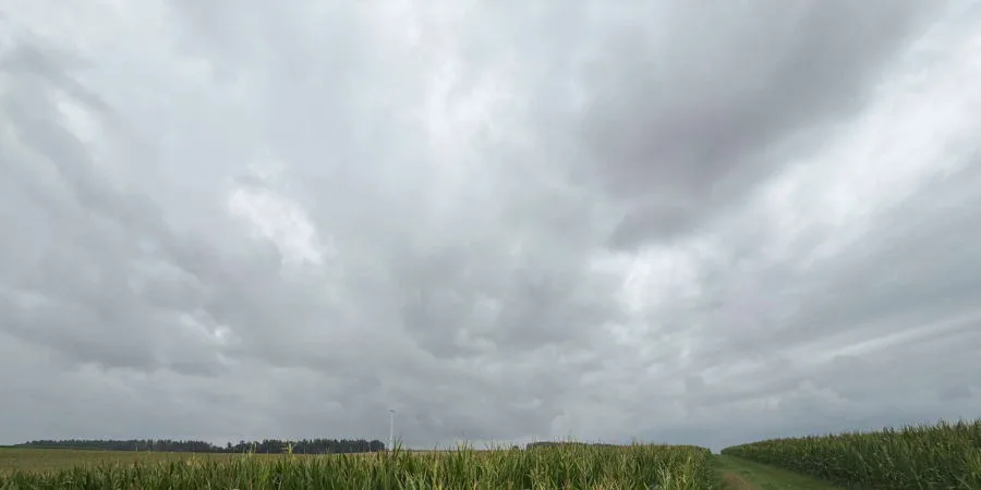 Weite Feldlandschaft unter bewölktem Himmel, kein Gebäude sichtbar, Feldweg zwischen Maisfeldern.