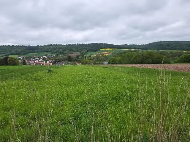 Zwangsversteigerung Land-/Forstwirtschaft in Spangenberg: Objektfoto