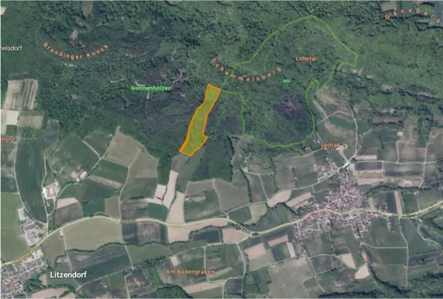 Zwangsversteigerung Land-/Forstwirtschaft in Lohndorf: Objektfoto