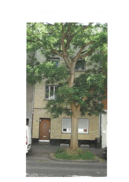 Zwangsversteigerung Mehrfamilienhaus in Dueren: Objektfoto