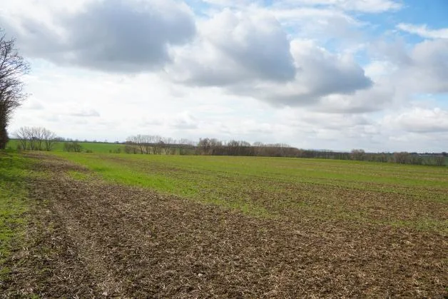 Zwangsversteigerung Land-/Forstwirtschaft in Stadt Wanzleben-Börde: Objektfoto