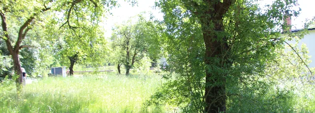 Zwangsversteigerung Unbebautes Grundstück in Neukirch/Lausitz: Objektfoto