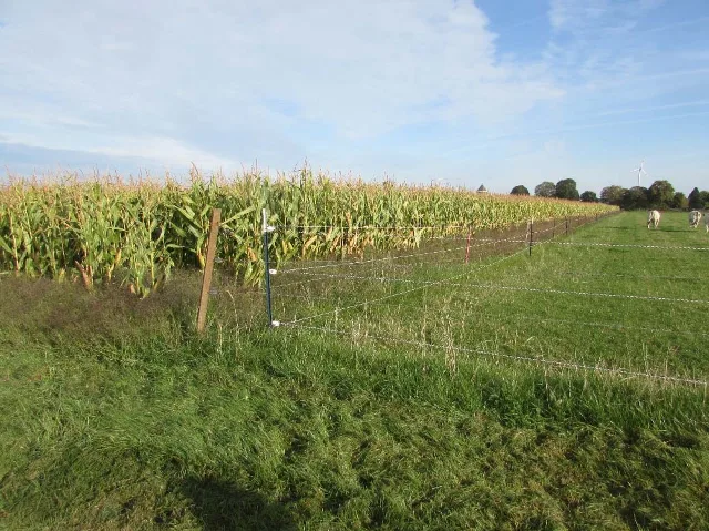 Zwangsversteigerung Land-/Forstwirtschaft in Heinsberg: Objektfoto