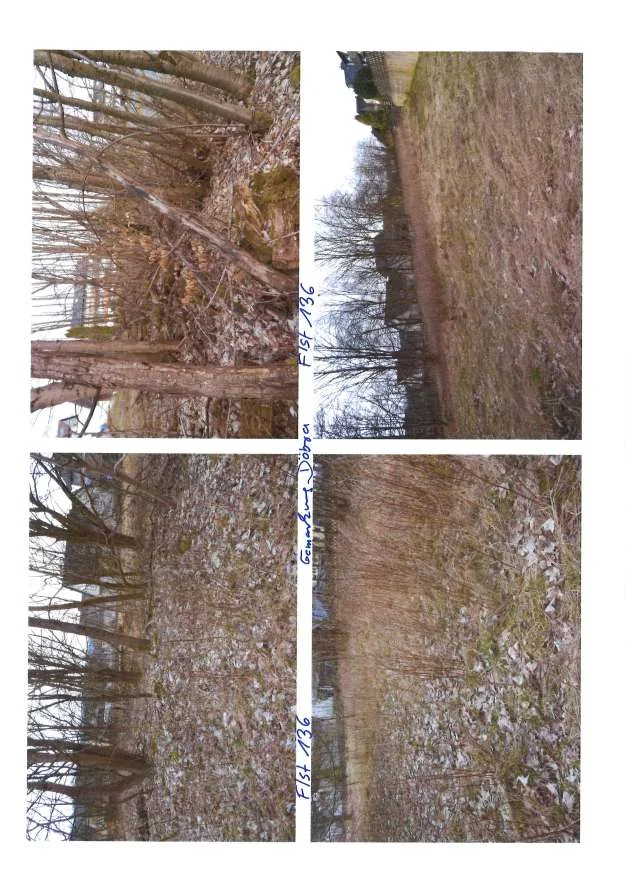 Fassadenansichten (Collage, 4 Fotos aus Gutachten)