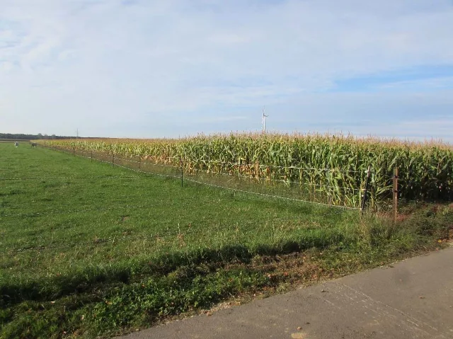 Zwangsversteigerung Land-/Forstwirtschaft in Heinsberg: Objektfoto
