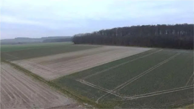 Zwangsversteigerung Land-/Forstwirtschaft in Hungen: Objektfoto