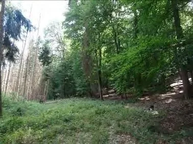 Zwangsversteigerung Land-/Forstwirtschaft in Gladenbach: Objektfoto