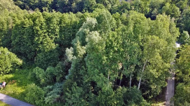 Zwangsversteigerung Land-/Forstwirtschaft in Horn-Bad Meinberg: Objektfoto