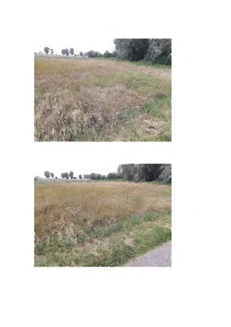 Zwangsversteigerung Land-/Forstwirtschaft in Niederviehbach: Objektfoto
