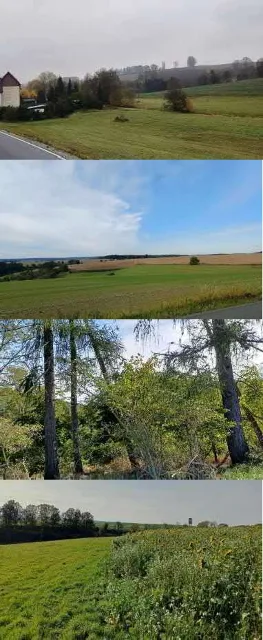 Objektfoto